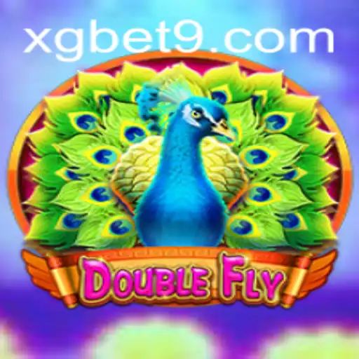 DoubleFly: An Exciting New Power in the Gaming World